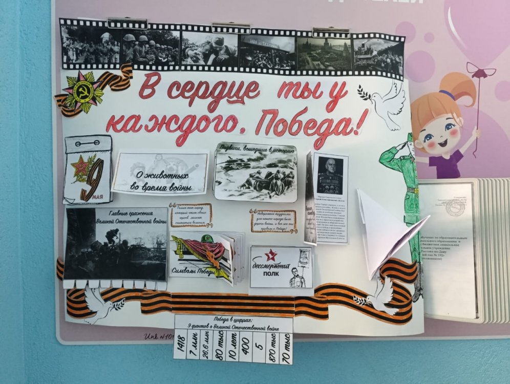 img (5)